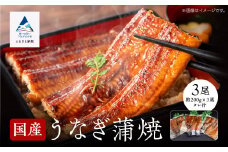 【真空パック】国産うなぎ蒲焼 約200g×3尾 かば焼き タレつき 関西風 小松市 石川県 【株式会社竹本商店】