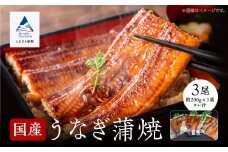 【真空パック】国産うなぎ蒲焼 約200g×3尾 かば焼き タレつき 関西風 小松市 石川県 【株式会社竹本商店】