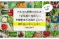 季節の有機野菜