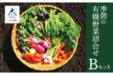 西田農園 季節の有機野菜詰合せ Ｂセット  野菜食べ比べ 旬の野菜 野菜セット オーガニック野菜 有機栽培 石川県 小松市