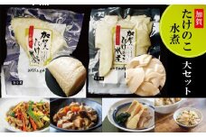 【真空包装で手軽に使える】加賀たけのこ水煮　大セット 野菜