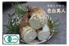【来春先行予約】有機JAS認証  白子たけのこ 「色白美人」 3.5kg