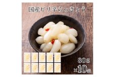 国産ピリ辛らっきょう 10袋 010171