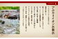 極上食パン くるみ(1本2斤分)　2回目にお届け