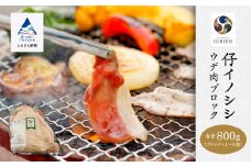 仔イノシシ ウデ肉 ブロック800g 