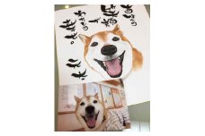 ペット似顔絵色紙（１ペット）