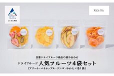 Kaju Re:人気のフルーツ4袋セット ドライフルーツ りんご パイナップル キウイ みかん 苺