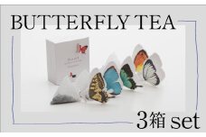 BUTTERFLY TEA / 3箱セット