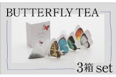 BUTTERFLY TEA / 3箱セット