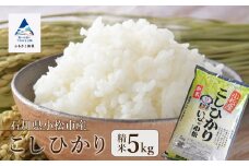こしひかり精米5kg 令和7年産 精米 米 小松市産コシヒカリ 石川県 小松市