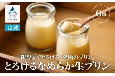 とろけるなめらか生プリン（6個入り）