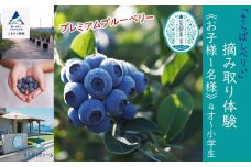ブルーベリー摘み取り体験《お子様1名様》