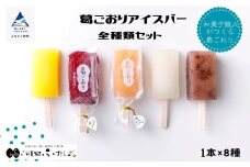 葛アイス《 期間限定 》葛ごおりアイスバー全種類セット 1本×8種 和菓子 冷凍 アイス 