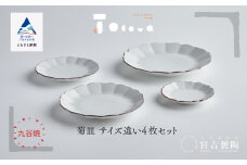 九谷焼 磁器白九谷「菊皿　サイズ違い」4枚セット 縁錆 おさら さら 普段使い 