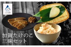 加賀たけのこ三昧セット 筍 