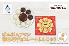 饅頭 和菓子 洋菓子 チョコ菓子【ポムポムプリン】御朱印チョコレートまんじゅう ９個入り