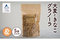 シリアル 朝食 健康 小松産 大麦ときなこグラノーラ 5袋おまとめ