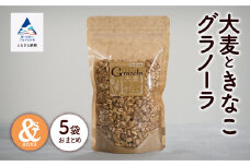 シリアル 朝食 健康 小松産 大麦ときなこグラノーラ 5袋おまとめ