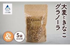 シリアル 朝食 健康 小松産 大麦ときなこグラノーラ 5袋おまとめ
