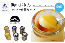 浜のぷりんおすすめ６個セット