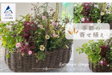 季節の寄せ植え《籐籠》
