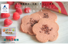 焼菓子 サブレ お菓子 《お好きな味を選べる》かなざわハイカラクッキー １種類×４箱セット／抹茶とピスタチオ　４箱