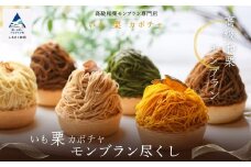 《高級和栗モンブラン》いも栗カボチャモンブラン尽くし  和菓子 茶菓子 餡 スイーツ ケーキ 【高級和栗モンブラン専門店いも栗カボチャ】