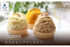 《高級和栗モンブラン》百万石モンブランタルト  和菓子 茶菓子 餡 スイーツ