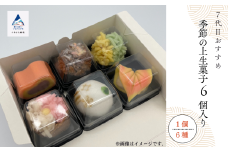 和菓子 お菓子 詰合せ 老舗和菓子屋《 7代目おすすめ》季節の上生菓子 6個入り