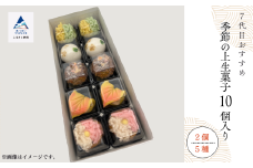 和菓子 お菓子 詰合せ 老舗和菓子屋《 7代目おすすめ》季節の上生菓子 10個入り