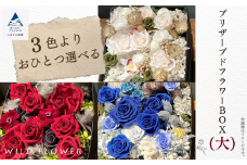 花 インテリア 飾り 《選べる3色》プリザーブドフラワーBOX （大）／ホワイト系