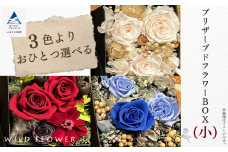 花 インテリア 飾り 《選べる3色》プリザーブドフラワーBOX （小）／レッド系