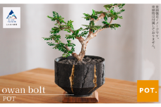 植木鉢 鉢 POT フラワーポット owan bolt 