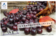 アロニア（ブラックベリー）1kg ベリー 冷凍便 果物 果実 【JA小松市】石川県 小松市