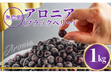 アロニア（ブラックベリー）1kg ベリー 冷凍便 果物 果実 【JA小松市】石川県 小松市
