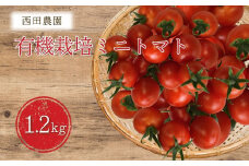 有機栽培ミニトマト 1.2kg（西田農園） オーガニック プチトマト 