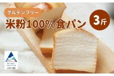 米粉100%食パン ３斤 グルテンフリー 008052