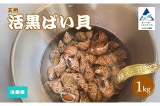 活黒ばい貝1kg