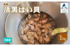 活黒ばい貝 （あずき貝）1kg