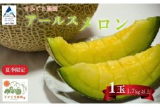 アールスメロン 1玉（1.7kg以上） 化粧箱入り 8月上旬より順次発送 先行予約 マスクメロン 果物 フルーツ プレゼント 贈答用