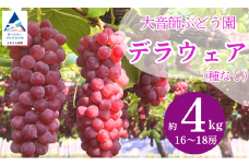 ぶどう デラウェア デラウェア 4kg （16房～18房） 果物 ぶどう 葡萄 ふるさと納税 フルーツ 【大音師ぶどう園】
