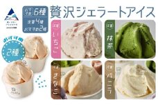 贅沢ジェラートアイス グラシエおすすめ6種セット