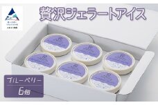 贅沢ジェラートアイス ブルーベリー 6個セット