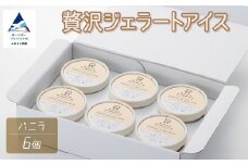贅沢ジェラートアイス バニラ 6個セット