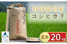 【令和7年産先行予約】げんき米 コシヒカリ 玄米 20kg  米 こめ お米 石川県産 小松市産【エコファーム北陸】