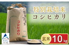 【令和7年産先行予約】げんき米 コシヒカリ 玄米 10kg 米 こめ お米 石川県産 小松市産【エコファーム北陸】