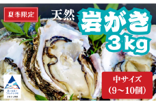 夏季限定！ 安宅産 天然 岩がき 中サイズ 3kg (9～10個)【石川県漁業協同組合小松支所】