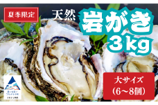 夏季限定！ 安宅産 天然 岩がき 大サイズ 3kg (6～8個)【石川県漁業協同組合小松支所】