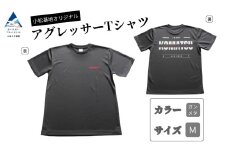 小松基地オリジナルアグレッサーTシャツ ガンメタ (Mサイズ) 