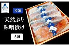 天然ブリ味噌漬け 5切れ 要冷凍 鰤 ぶり 小松市 石川県 【株式会社竹本商店】